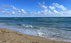 A sandy beach with waves crashing on the shore

AI-generated content may be incorrect.