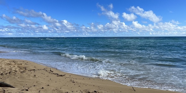 A sandy beach with waves crashing on the shore
AI-generated content may be incorrect.