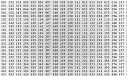 Grouped mantissa digits